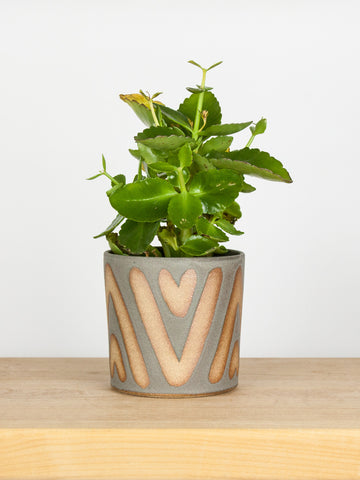boho succulent planter Blue Boho Planter – Barombi Studios